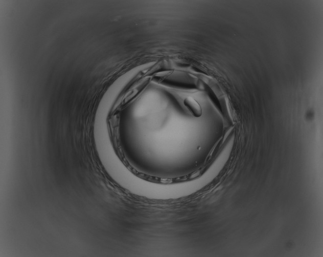 X0000091451010200708301805