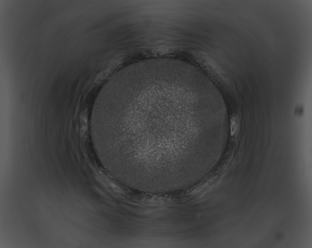 X0000091451011200708301805