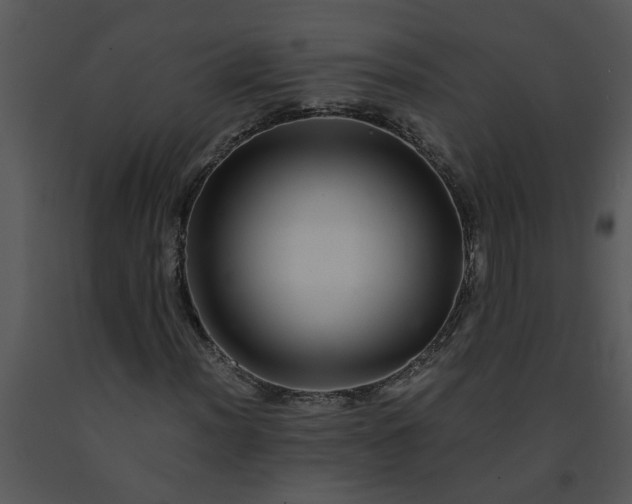 X0000091451012200708301805