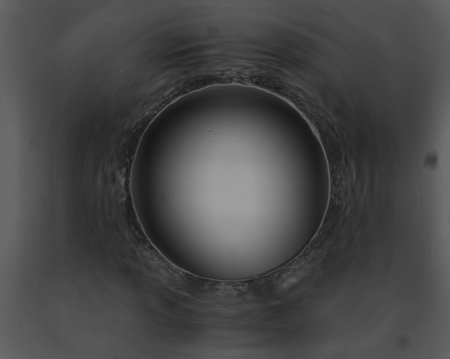 X0000091451013200708301805