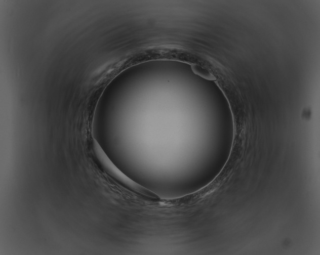 X0000091451014200708301805