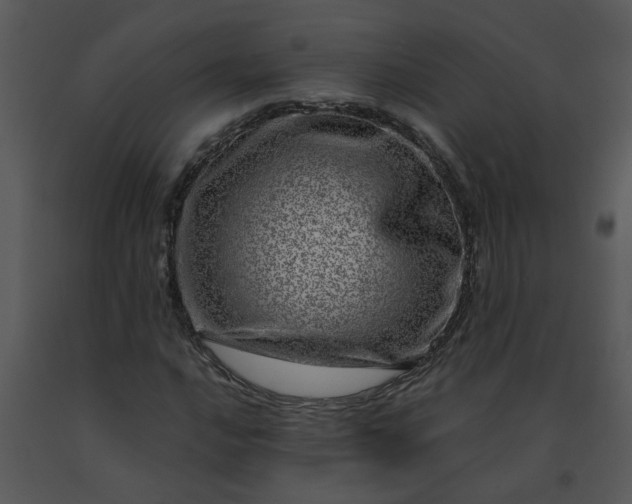 X0000091451016200708301805