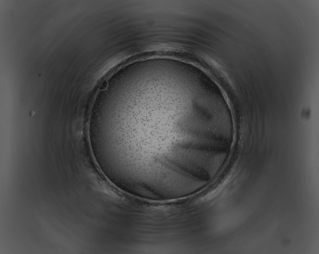 X0000091451017200708301805