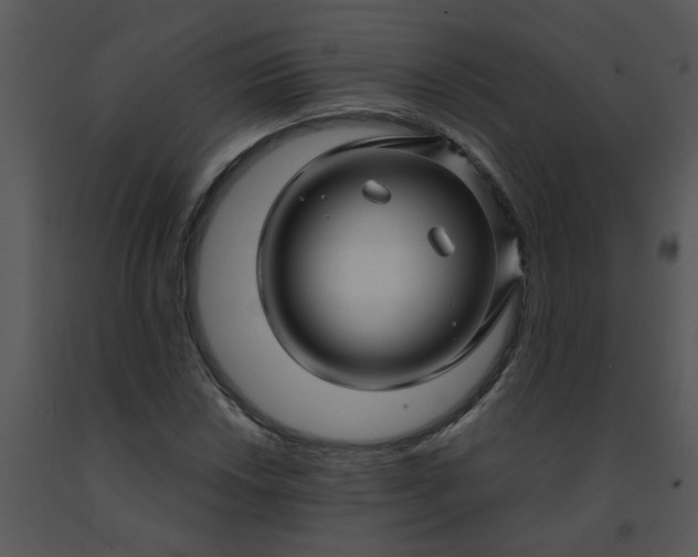 X0000091451018200708301805