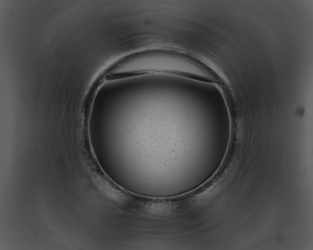 X0000091451021200708301805