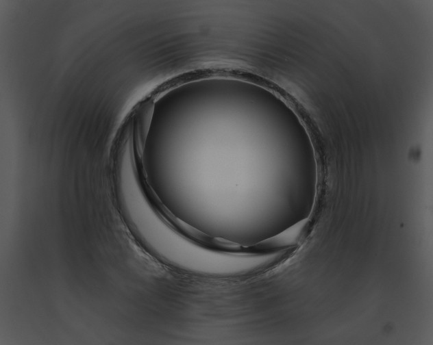 X0000091451022200708301805