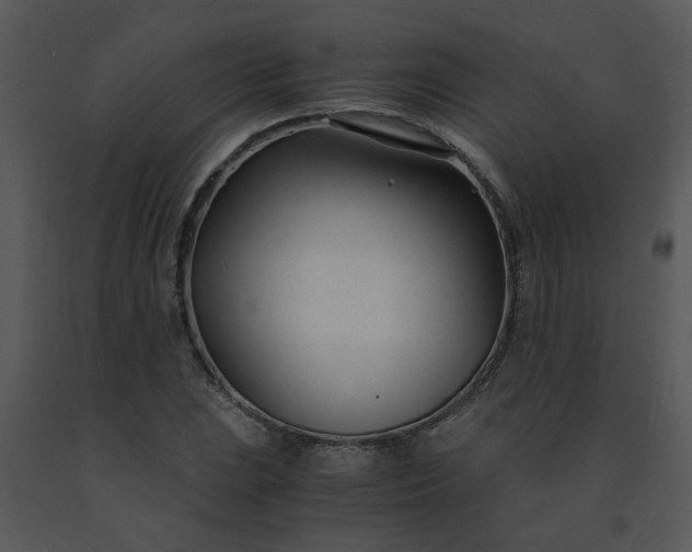 X0000091451023200708301805