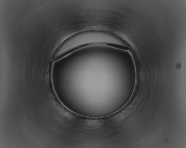 X0000091451025200708301805
