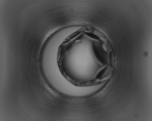 X0000091451026200708301805