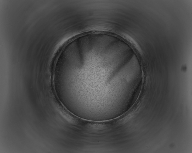 X0000091451027200708301805