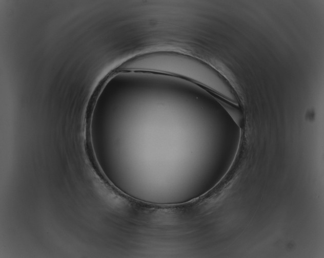 X0000091451028200708301805