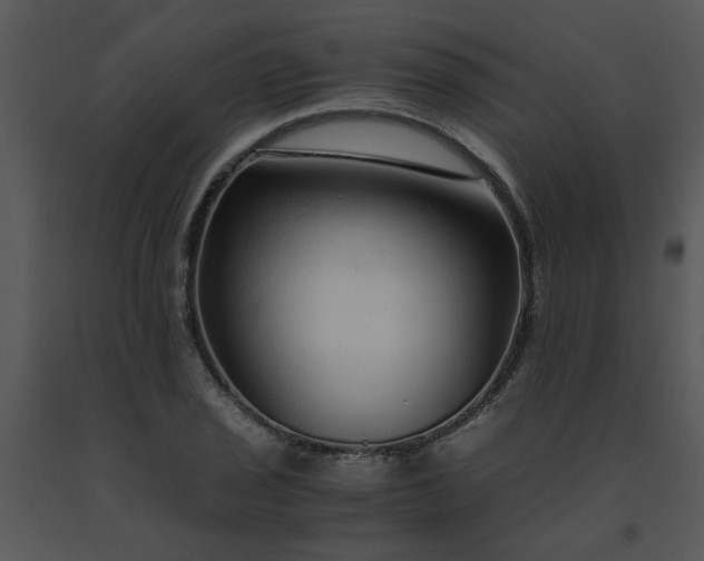 X0000091451029200708301805