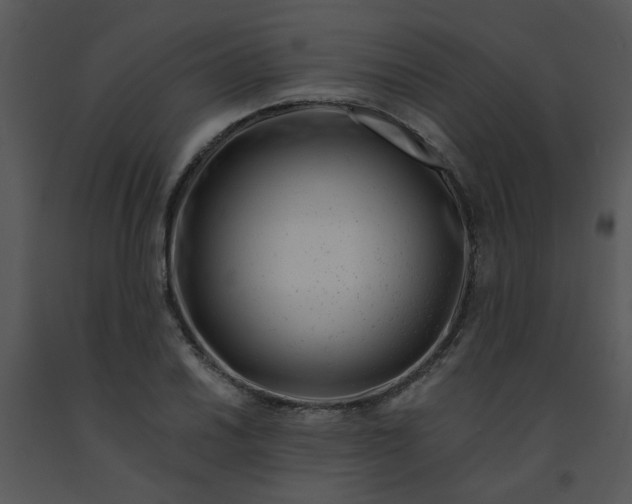 X0000091451030200708301805