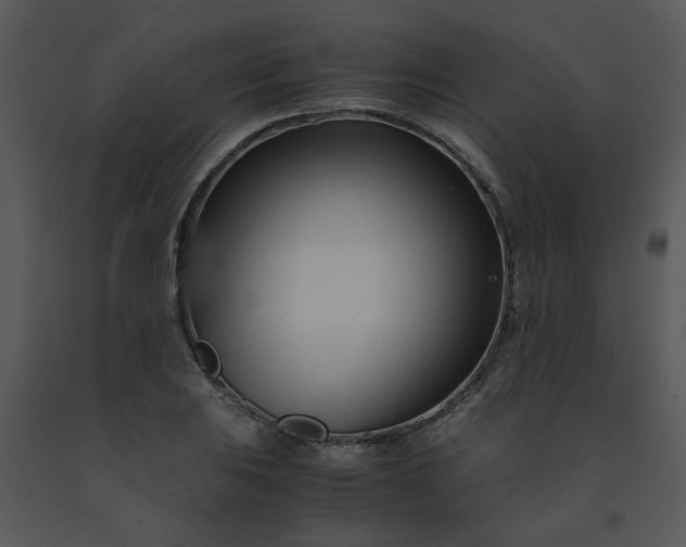 X0000091451031200708301805