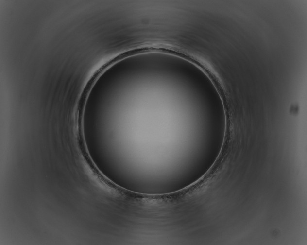 X0000091451032200708301805