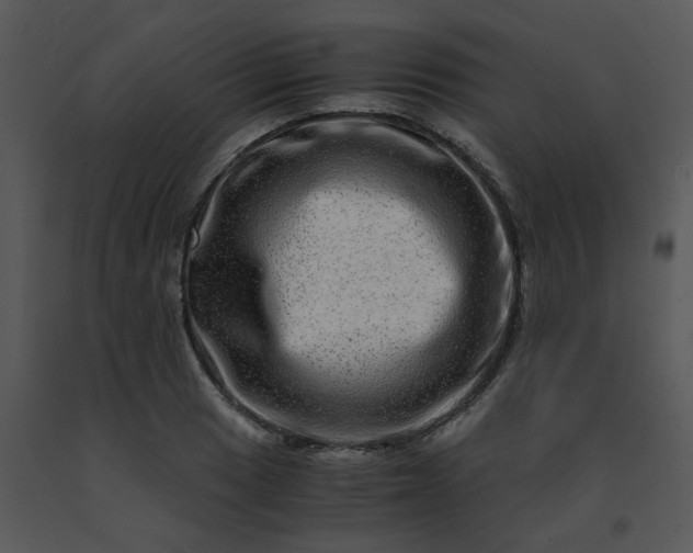 X0000091451033200708301805