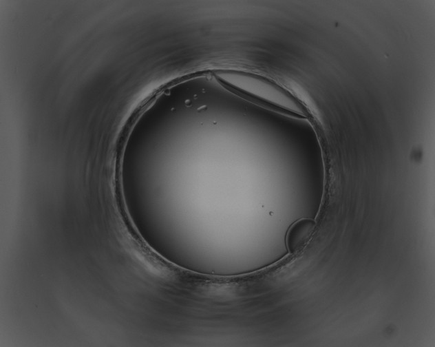 X0000091451035200708301805