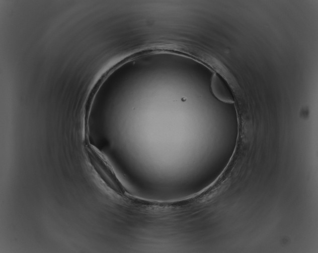X0000091451036200708301805