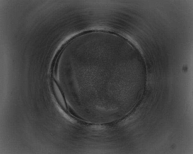 X0000091451037200708301806