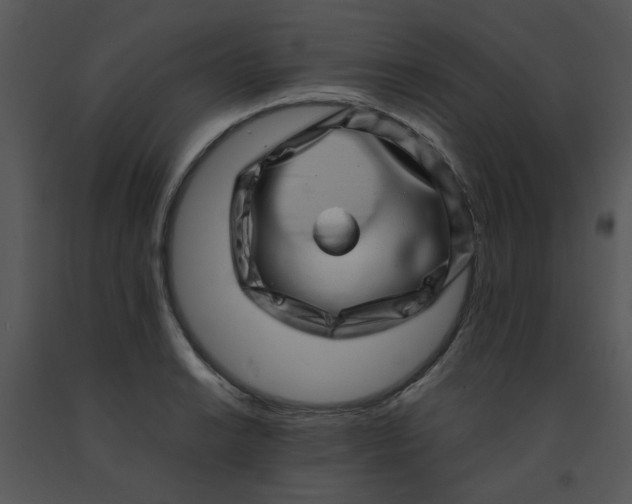 X0000091451038200708301806