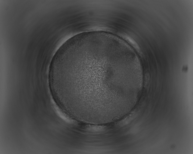 X0000091451039200708301806