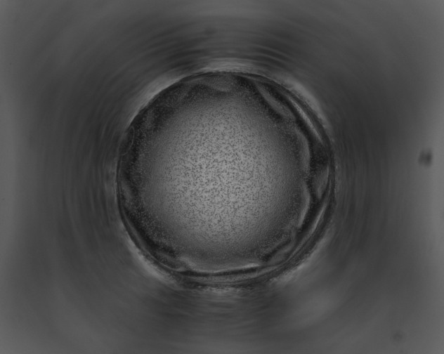 X0000091451041200708301806