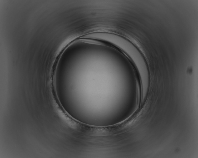 X0000091451042200708301806