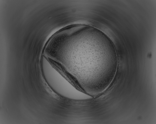 X0000091451044200708301806