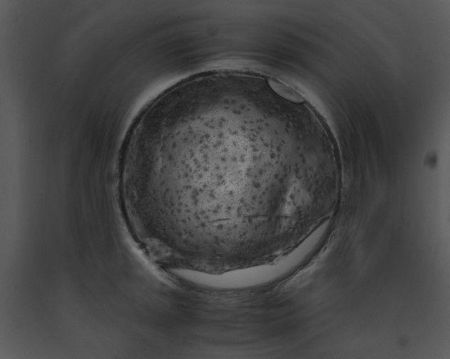 X0000091451045200708301806