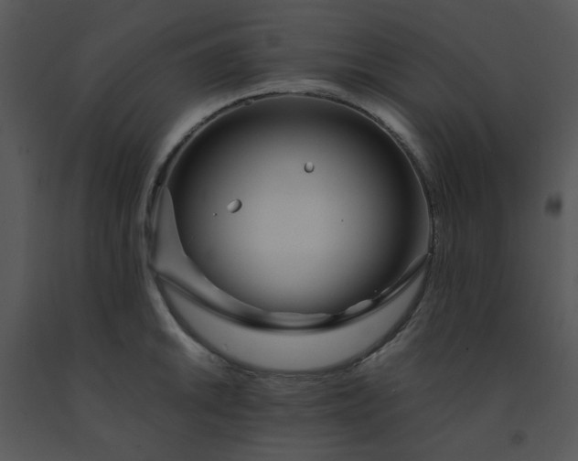 X0000091451046200708301806