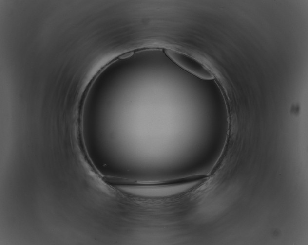 X0000091451048200708301806