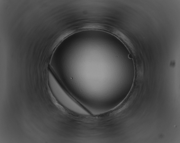 X0000091451049200708301806