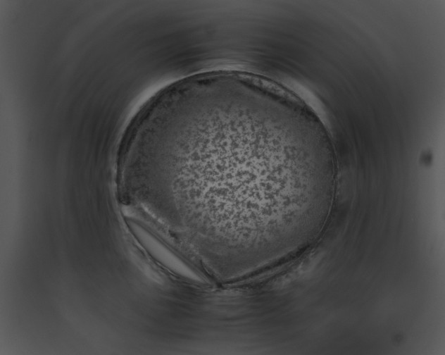X0000091451051200708301806