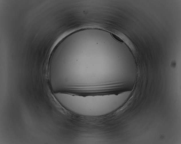 X0000091451052200708301806