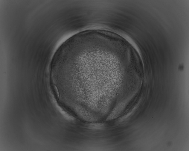 X0000091451053200708301806