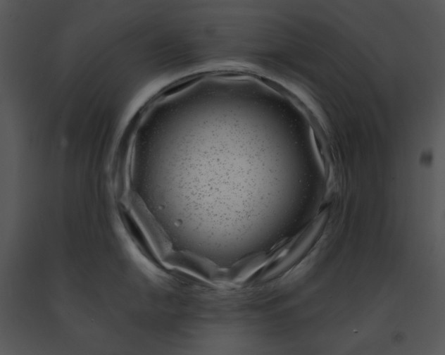 X0000091451054200708301806