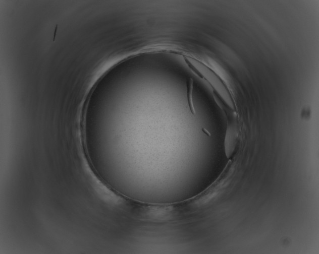 X0000091451055200708301806