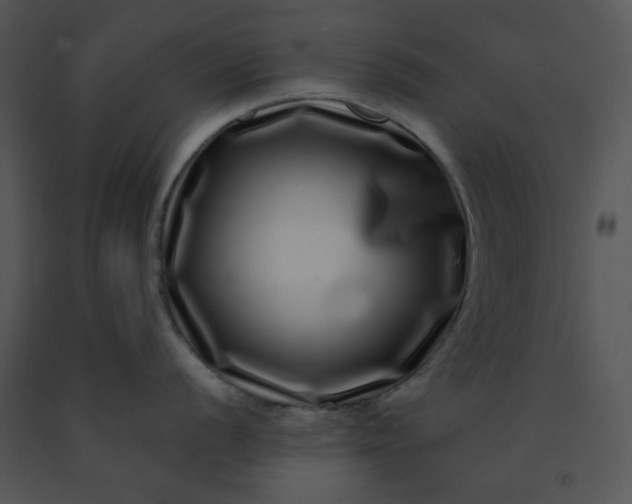 X0000091451056200708301806