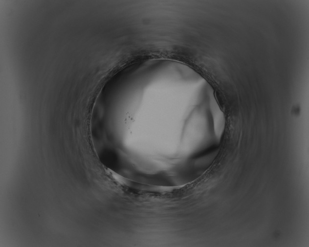 X0000091451057200708301805