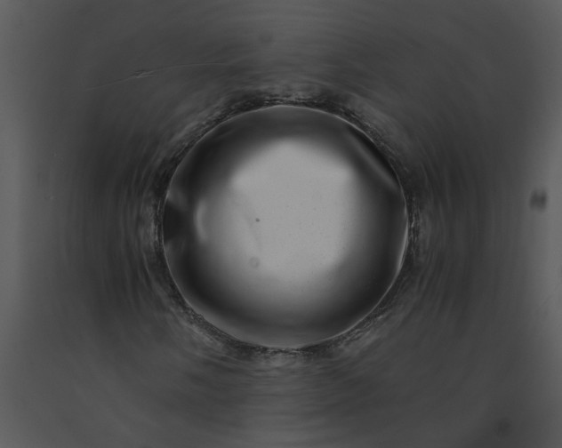 X0000091451058200708301805