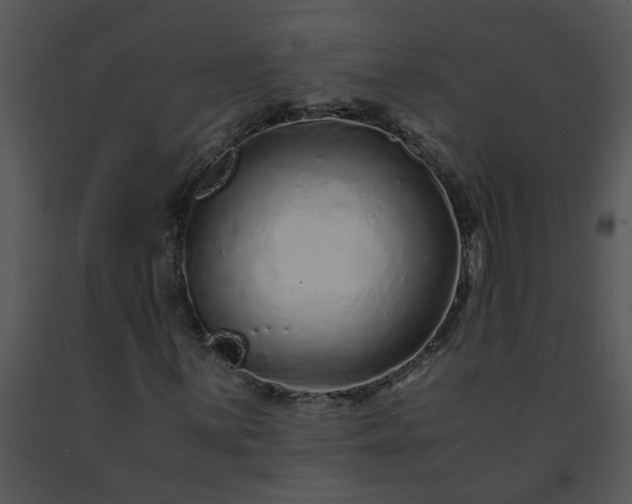 X0000091451059200708301805