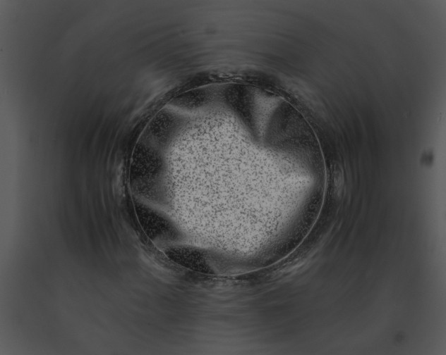 X0000091451060200708301805