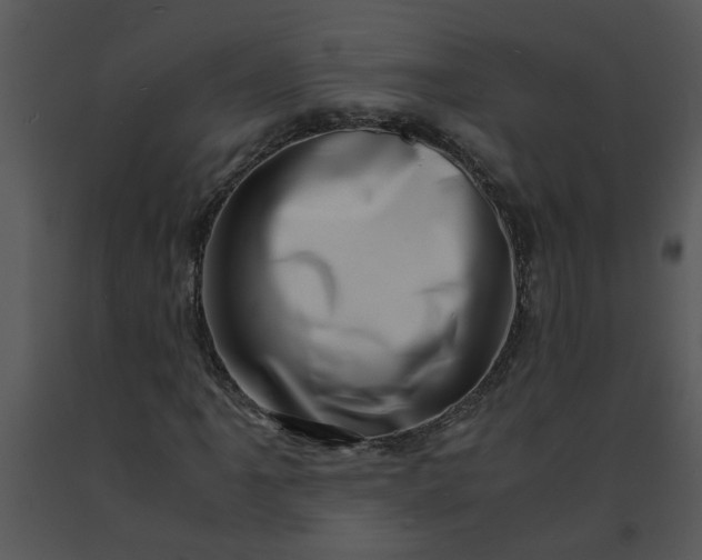 X0000091451061200708301805