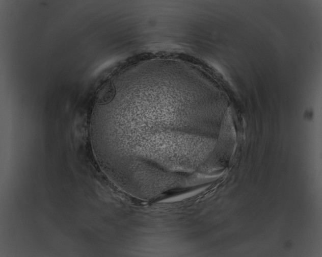 X0000091451063200708301805