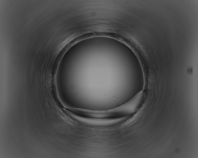X0000091451065200708301805