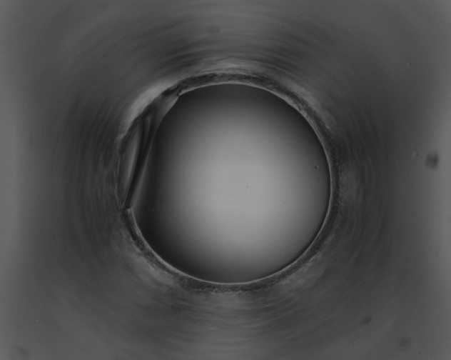 X0000091451066200708301805