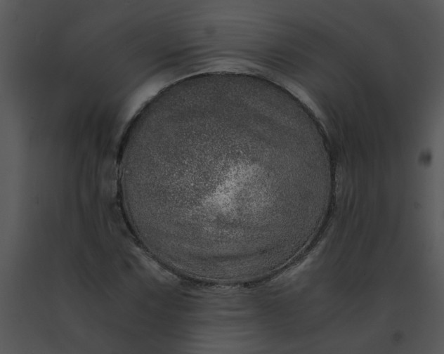 X0000091451067200708301805
