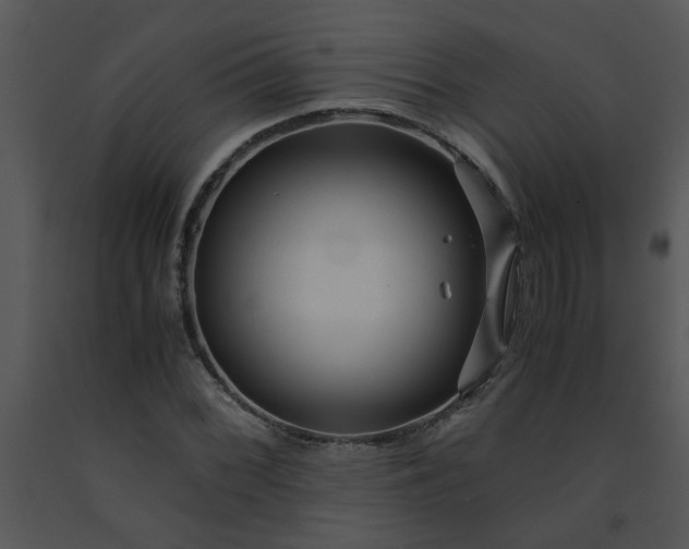 X0000091451068200708301805