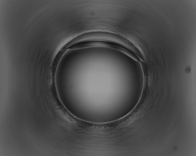 X0000091451069200708301805