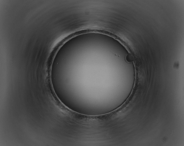 X0000091451070200708301805
